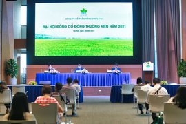 Đại Hội Đồng Cổ Đông Nông dược HAI năm 2021: đặt mục tiêu doanh thu 1.100 tỷ đồng, gấp đôi so với năm 2020