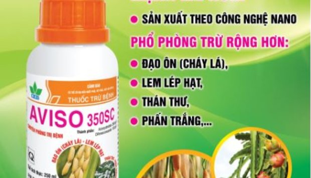 AVISO 350SC - BÔNG SÁNG HẠT NO, KHÔNG LO BỆNH HẠI