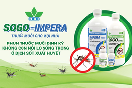 CHẾ PHẨM DIỆT MUỖI SOGO 500EC & IMPERA 100SC - THUỐC MUỖI CHO MỌI NHÀ