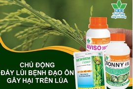 ĐẨY LÙI BỆNH ĐẠO ÔN CÙNG NEWBEM 750WP