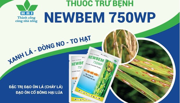 NEWBEM 750WP – XANH LÁ, ĐÒNG NO, TO HẠT