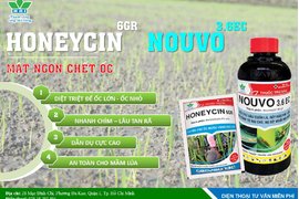 BẢO VỆ LÚA ĐÔNG XUÂN NGAY TỪ ĐẦU VỤ