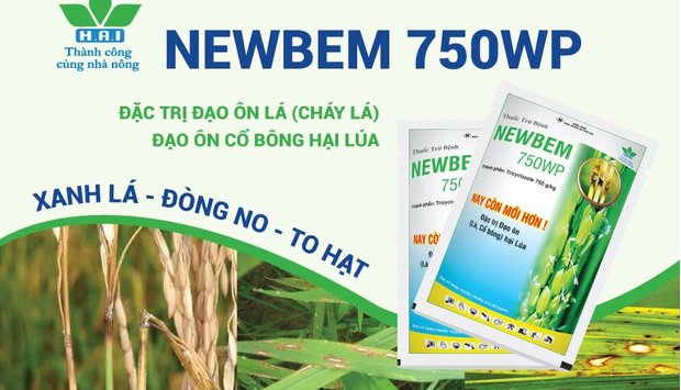 CHỦ ĐỘNG PHÒNG NGỪA BỆNH ĐẠO ÔN HẠI LÚA