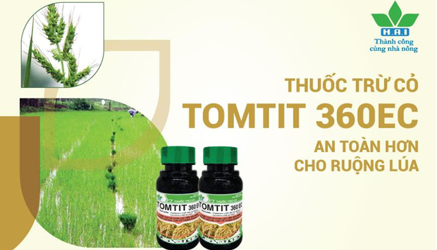 TOMTIT 360EC - THUỐC TRỪ CỎ TIỀN MỌC MẦM - AN TOÀN HƠN CHO RUỘNG LÚA