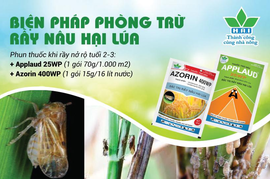 APPLAUD 25WP + AZORIN 400WP – SỰ KẾT HỢP ĐỈNH CAO, TRỪ RẦY NÂU HIỆU QUẢ