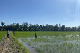 NÔNG DƯỢC HAI - HỖ TRỢ NHÀ NÔNG, ĐỒNG LÒNG VƯỢT KHÓ