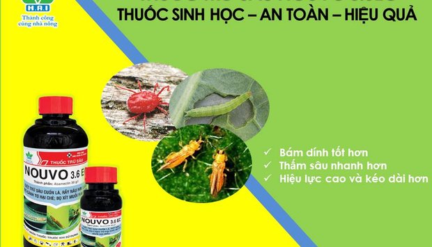 THUỐC TRỪ SÂU SINH HỌC NOUVO 3.6EC - AN TOÀN & HIỆU QUẢ TRONG PHÒNG TRỊ BỌ TRĨ VÀ SÂU MIỆNG NHAI, CHÍCH HÚT