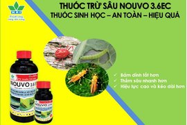 THUỐC TRỪ SÂU SINH HỌC NOUVO 3.6EC - AN TOÀN & HIỆU QUẢ TRONG PHÒNG TRỊ BỌ TRĨ VÀ SÂU MIỆNG NHAI, CHÍCH HÚT