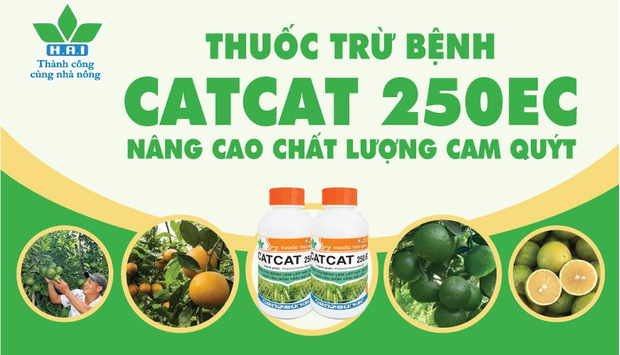 BIỆN PHÁP NÂNG CAO CHẤT LƯỢNG VÀ MẪU MÃ TRÁI CAM