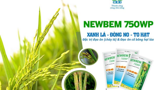 NEWBEM 750WP - XANH LÁ ĐÒNG NO TO HẠT