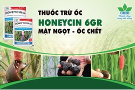 THUỐC TRỪ ỐC HONEYCIN 6GR - ỐC NHỎ KHỎI LO - ỐC TO CHẾT SẠCH