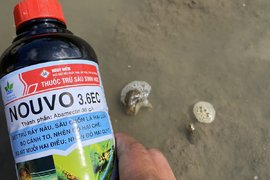 ỐC CHẾT TRIỆT ĐỂ - QUÁ DỄ VỚI NOUVO 3.6EC