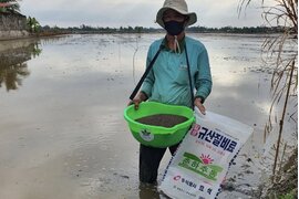 PHÂN BÓN TRUNG LƯỢNG HAI-SILICATE CALCIUM - GIẢI PHÁP KHÔNG LO NGHẸN RỄ, TRÁNH THẤT THOÁT PHÂN BÓN CHO VỤ LÚA HÈ THU