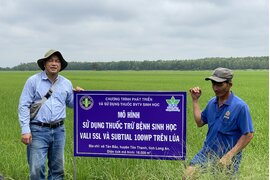 MÔ HÌNH SỬ DỤNG THUỐC SINH HỌC AN TOÀN HIỆU QUẢ TRONG CANH TÁC LÚA HÈ THU 2022