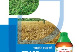 Chào đón một SẢN PHẨM MỚI đến từ Nông Dược HAI