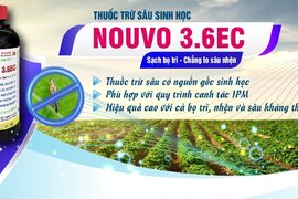 NOUVO 3.6EC - SẠCH BỌ TRĨ, CHẲNG LO SÂU NHỆN