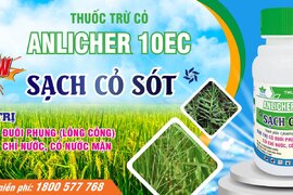 NÔNG DƯỢC HAI RA MẮT THUỐC TRỪ CỎ ANLICHER 10EC - GIẢI PHÁP SẠCH CỎ SÓT VỚI MỘT LẦN PHUN