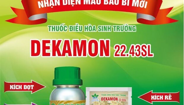 THUỐC ĐIỀU HÒA SINH TRƯỞNG DEKAMON 22.43SL - DIỆN MẠO MỚI !