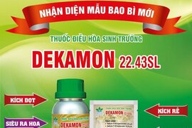 THUỐC ĐIỀU HÒA SINH TRƯỞNG DEKAMON 22.43SL - DIỆN MẠO MỚI !