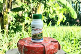THUỐC TRỪ CỎ ERASE 200SL - CỎ CHẾT THẤY MÊ GIẢI PHÁP TRỪ CỎ CHO VƯỜN CÂY TRỒNG VÀO MÙA MƯA