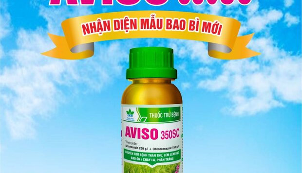 AVISO 350SC DIỆN MẠO MỚI - XANH LÁ - MƯỚT BÔNG - KHÔNG LO LEM LÉP