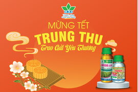 MỪNG TẾT TRUNG THU - TRAO GỬI YÊU THƯƠNG
