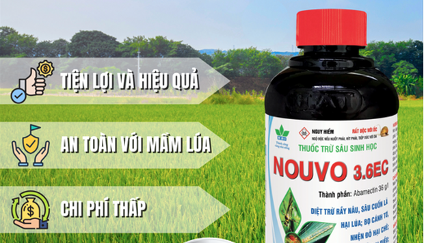 GIẢI PHÁP NÀO TRỪ ỐC HẠI LÚA HIỆU QUẢ NHANH MÀ KHÔNG ẢNH HƯỞNG ĐẾN MẦM LÚA