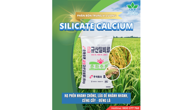 PHÂN BÓN TRUNG VI LƯỢNG  SILICATE CALCIUM (SCF)