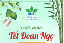 MỪNG TẾT ĐOAN NGỌ – VỮNG MÙA, VỮNG LÒNG
