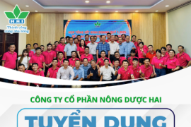 NÔNG DƯỢC HAI TUYỂN DỤNG - ỨNG TUYỂN NGAY!