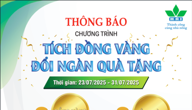 TÍCH ĐỒNG VÀNG – ĐỔI NGÀN QUÀ TẶNG