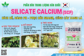 PHÂN BÓN TRUNG LƯỢNG HAI - SILICATE CALCIUM (SCF)