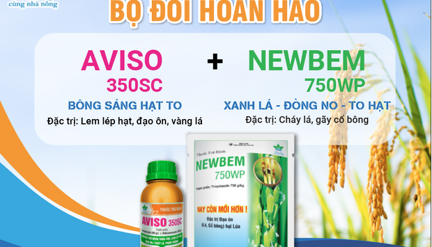 BỘ ĐÔI NĂNG SUẤT AVISO 350SC & NEWBEM 750WP