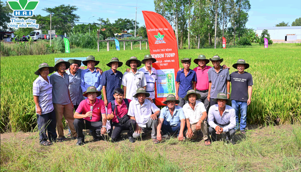 HAI RA MẮT BỘ BA LÚA SẠCH BỆNH - SÁNG BÔNG - TĂNG NĂNG SUẤT TRÊN CÂY LÚA