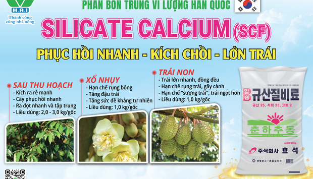 PHÂN BÓN TRUNG LƯỢNG HAI - SILICATE CALCIUM (SCF)