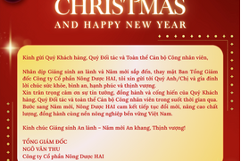 GIÁNG SINH ẤM ÁP, NĂM MỚI AN LÀNH